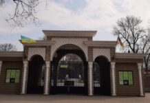 В Одессе арестовали здания зоопарка: почему